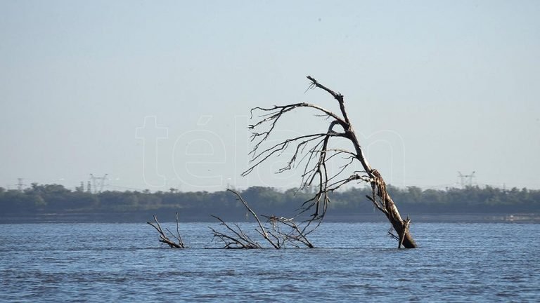 La Bajante Del RÍo ParanÁ VolviÓ A Sorprender A Los Expertos Y MarcÓ Un RÉcord Salón Náutico 0012